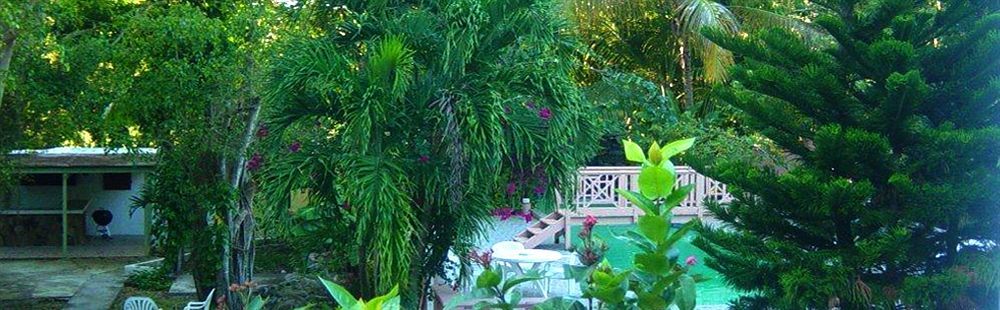 Icis Villas Brewers Bay Екстериор снимка