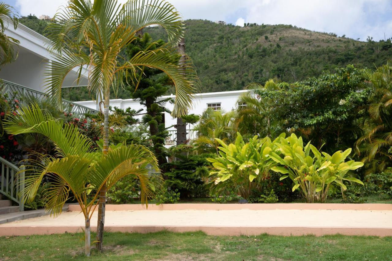 Icis Villas Brewers Bay Екстериор снимка